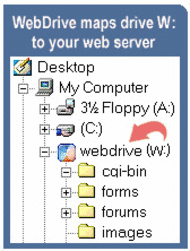 WebDrive screenshot